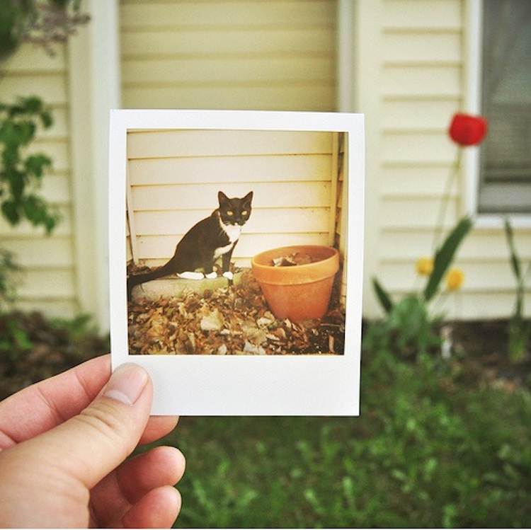 25-creative-polaroid-photos-4